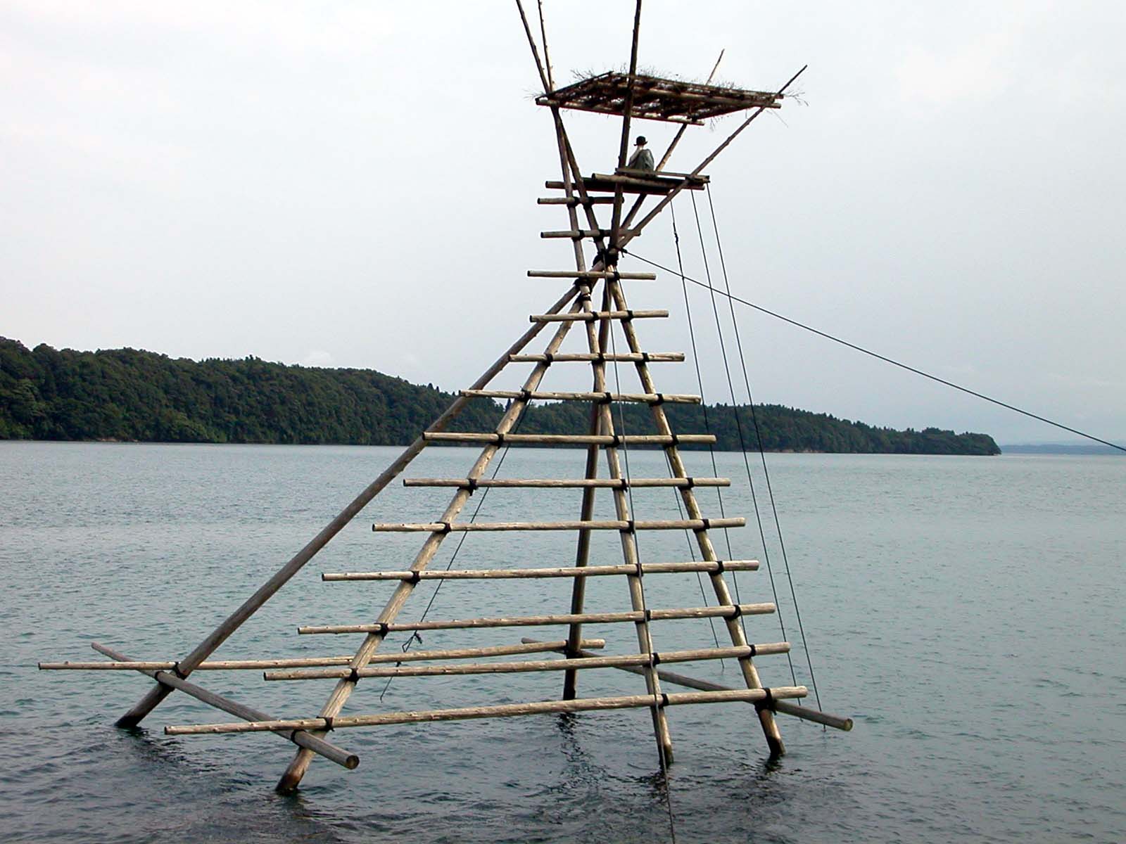 �{���҂��₮��