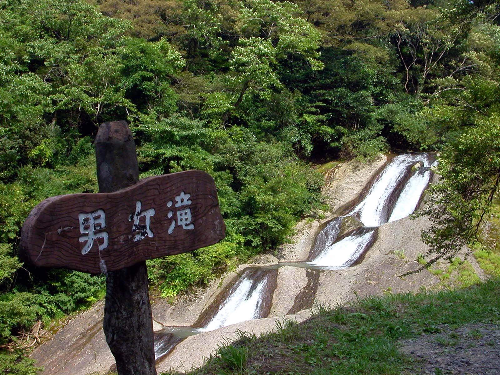 �j����@�Ȃ߂���