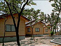 ������P�r��