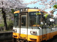 �\�o�����w�i���j