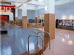 �a�q���򑍓�