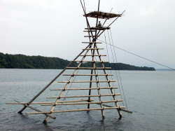 �{���҂��₮��