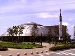 �R�X���A�C���H��