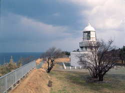 �\���蓔��