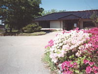 �邬����