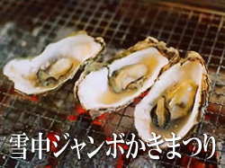 �ᒆ�W�����{�����܂�